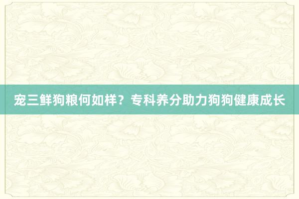 宠三鲜狗粮何如样？专科养分助力狗狗健康成长